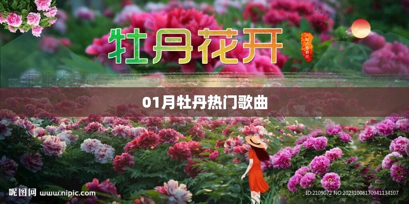 牡丹之歌，一月热门歌曲盘点