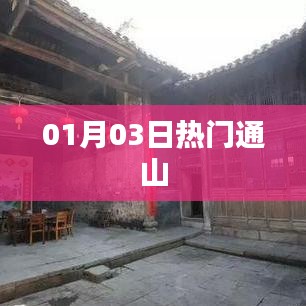通山热点速递，01月03日热门资讯一网打尽