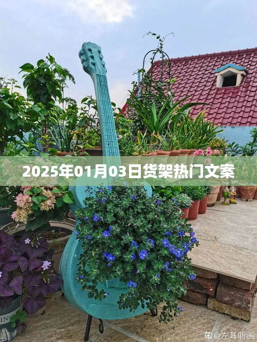 货架文案风向标，聚焦未来，洞悉市场