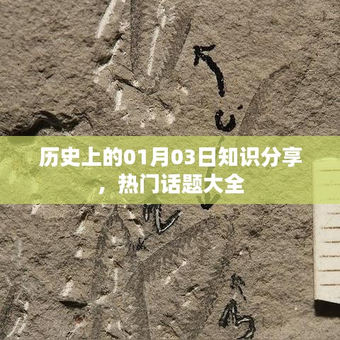 历史新知分享，一月三日热门话题概览