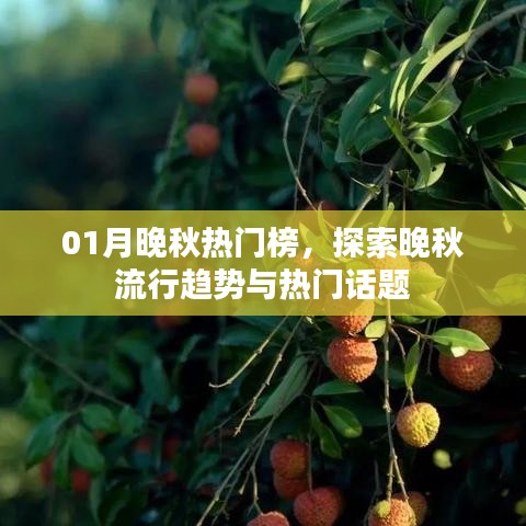 法贵必行