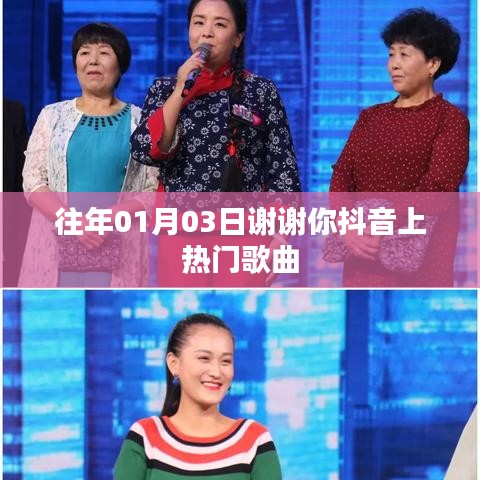 百鸟归巢