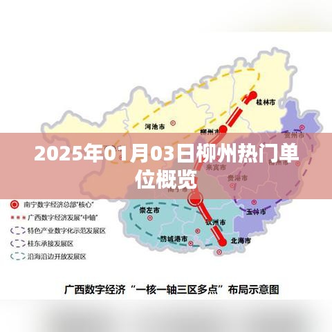 2025年柳州热门单位概览，职场风向标