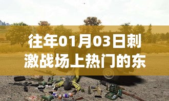 「刺激战场热门物品盘点，历年元旦新潮流」