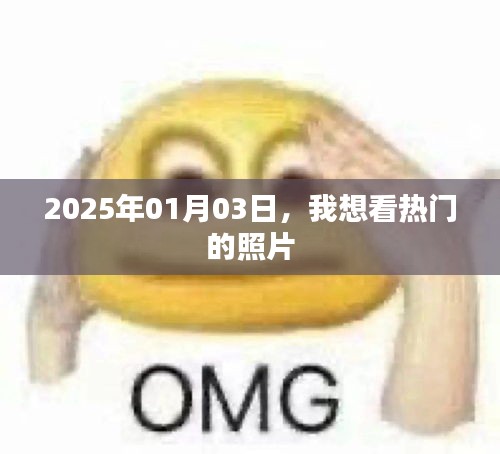 『2025年热门照片一览，不容错过』