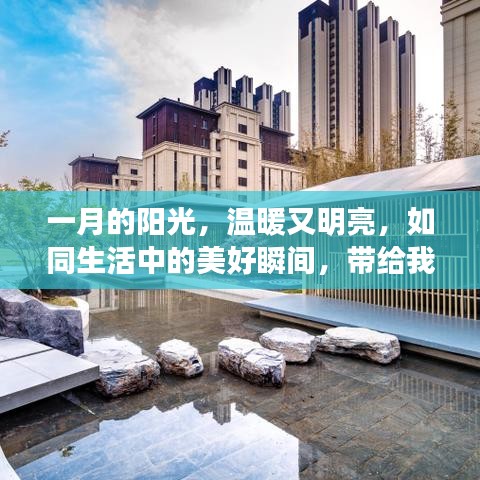 一月阳光温暖，热门欢快文案展现活力，迎接美好瞬间