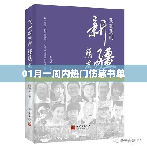 一月伤感热门书籍推荐