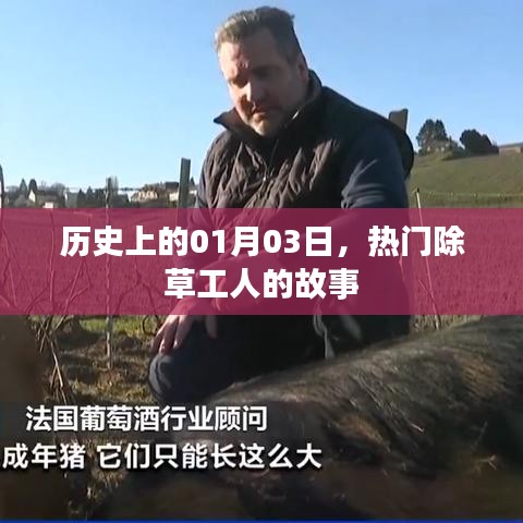 笃实好学