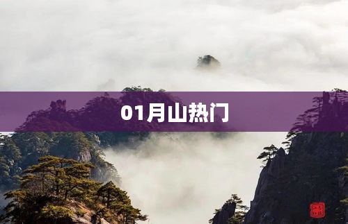 01月山热门事件盘点