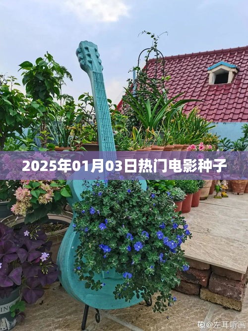 『2025年元旦热门电影种子大放送』