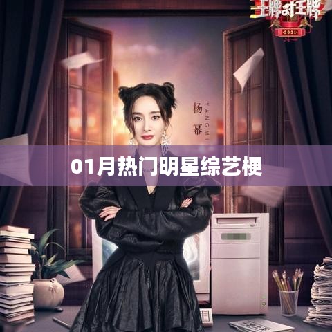01月明星综艺节目梗大盘点