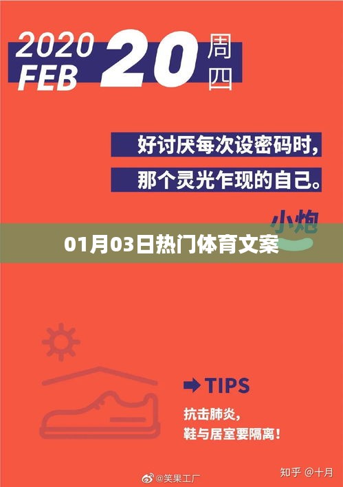 体育热点速递，一月三日精彩瞬间回顾