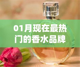 最新热门香水品牌榜单揭晓