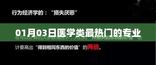 医学热门专业榜单揭晓，最新热门专业解读（XXXX年XX月XX日）