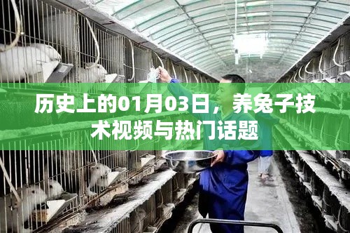 养兔技术视频盛行，历史一月三日热议话题