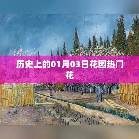 「花园热门花的历史，一月三日探寻花语世界」