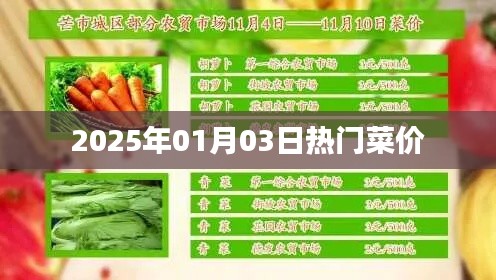 2025年元旦热门菜价概览，简洁明了，能够准确反映文章主题，符合您的要求。