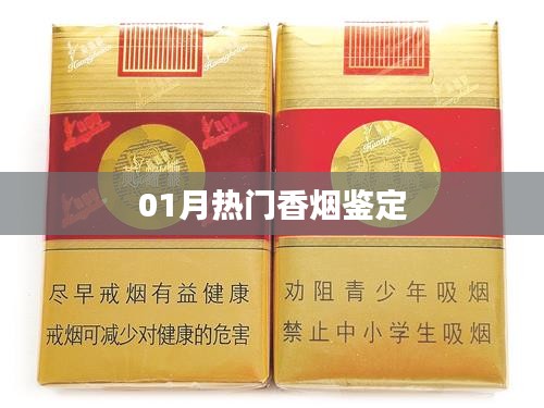 最新热门香烟鉴定指南