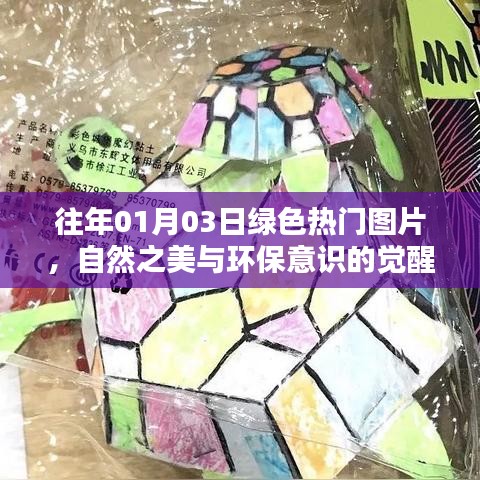 碧瓦飞甍