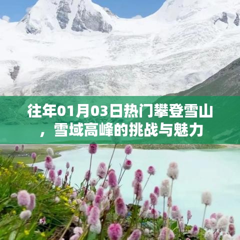 雪域高峰挑战与魅力，登山者的狂欢日