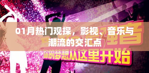 热门影视音乐潮流交汇，一月观探新动向