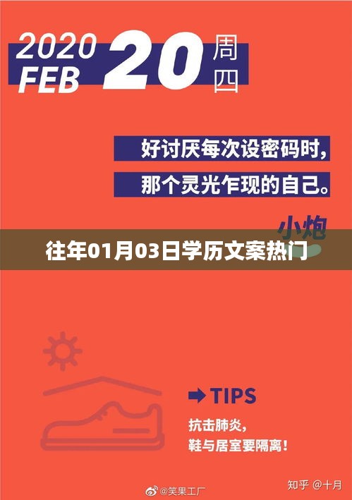 历年学历文案热点解析