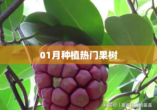 夸夸其谈