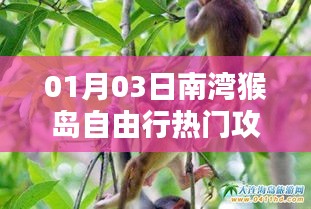 雅人清致