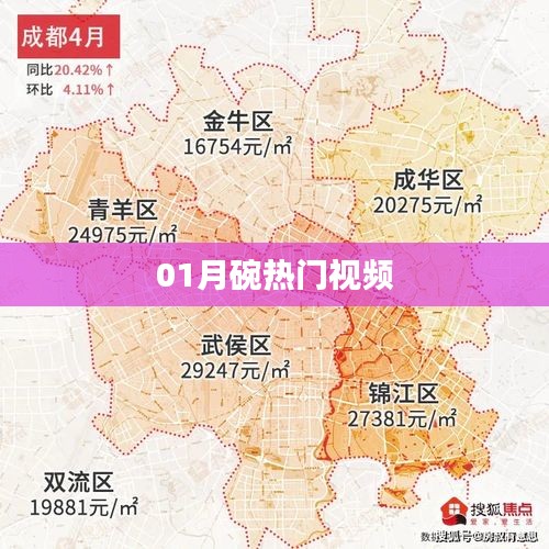 01月热门视频大盘点