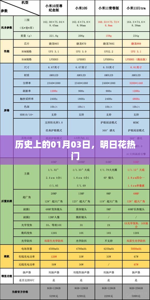 千娇百媚