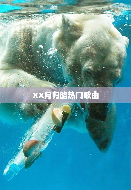 XX月归路流行歌曲盘点