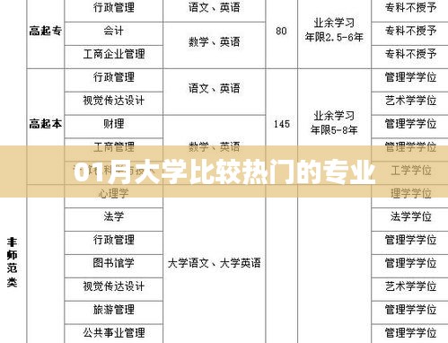 热门大学专业比较，一月最新排名解析