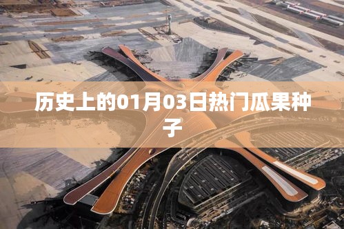 一月三日热门瓜果种子历史概览