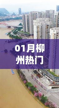 柳州热门行业概览（一月份动态）