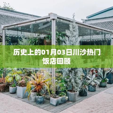 川沙热门饭店历史回顾，一月三日印记