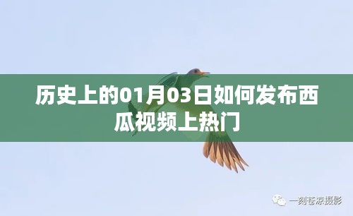 西瓜视频发布策略，如何把握一月三日上热门机会？