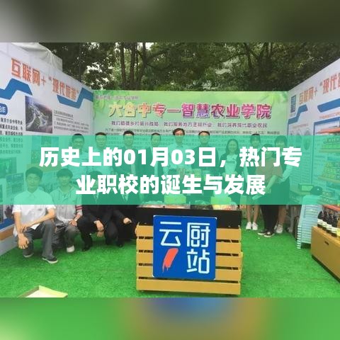 热门专业职校诞生与发展的历史脉络，一月三日回顾与展望