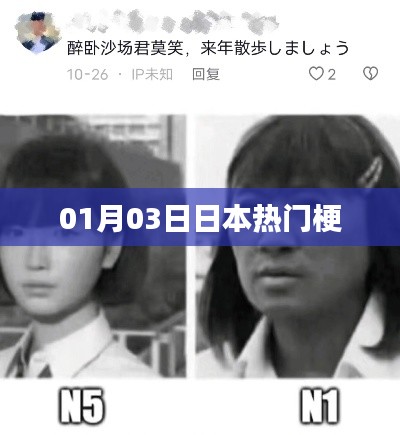 项目介绍 第12页