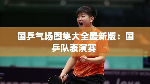 国乒气场图集大全最新版：国乒队表演赛 