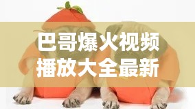 新闻动态 第7页