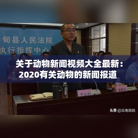 关于动物新闻视频大全最新：2020有关动物的新闻报道 