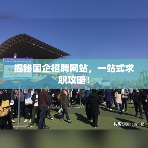 揭秘国企招聘网站，一站式求职攻略！