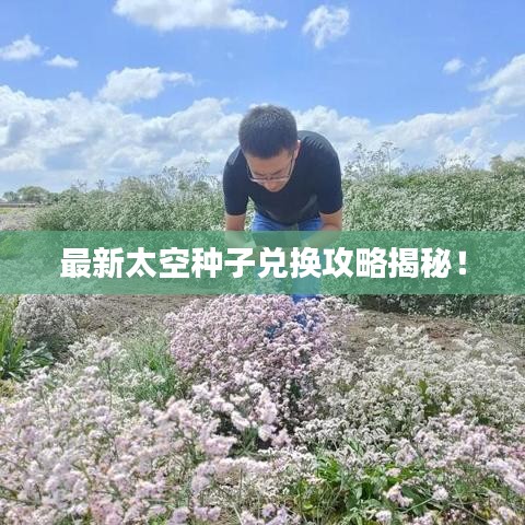 最新太空种子兑换攻略揭秘！