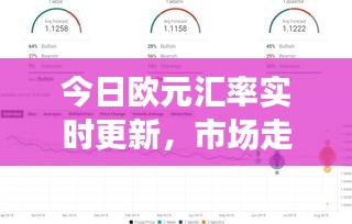 今日欧元汇率实时更新，市场走势深度解析