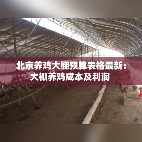 北京养鸡大棚预算表格最新：大棚养鸡成本及利润 
