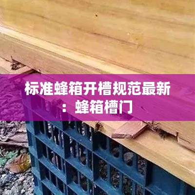 标准蜂箱开槽规范最新：蜂箱槽门 