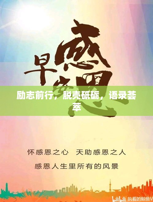 励志前行，脱壳砥砺，语录荟萃