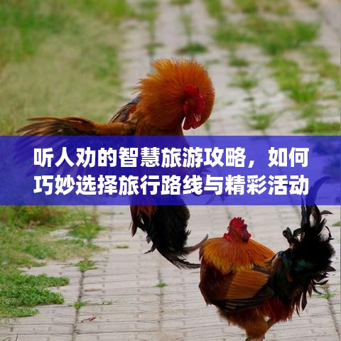 听人劝的智慧旅游攻略，如何巧妙选择旅行路线与精彩活动